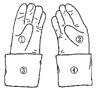 113回看護師国家試験の午前問題35 滅菌手袋を図に示す。 右手から装着する場合に、左手の母指と示指でつかんで持ち上げる位置で適切なのはどれか。