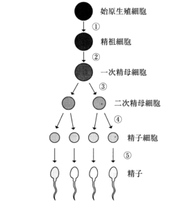 115回看護師国家試験問題の画像 午後77